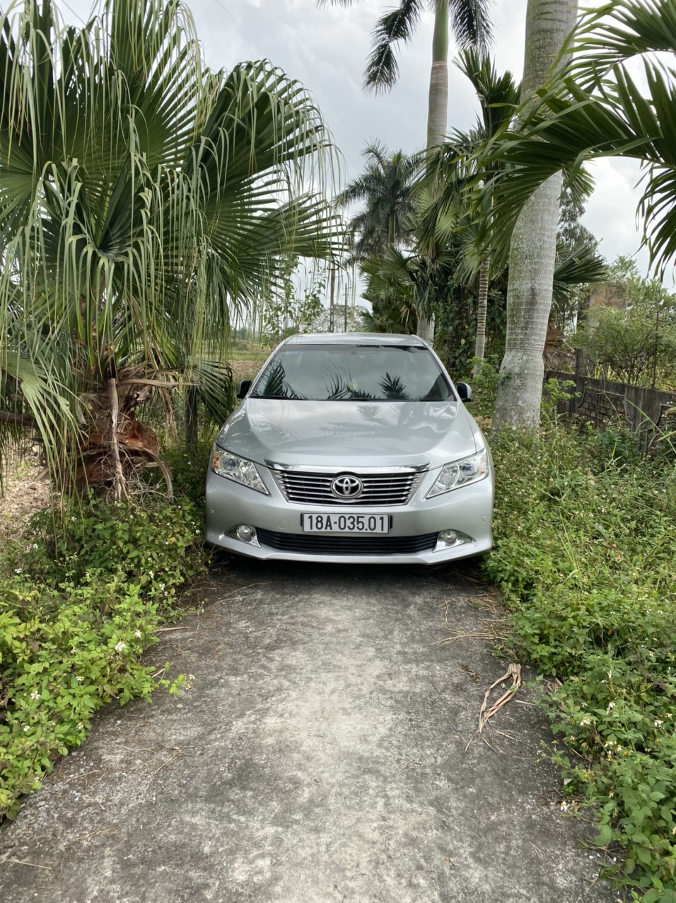 Z3539385667871 9cdd6c6d4a5c89f6c1f1dcdcd743d9b6
