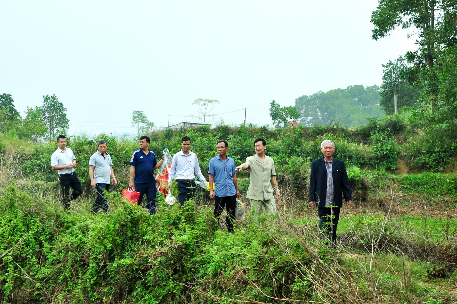 Z6039318021343 C53ed054b3d6dbc13a6a6af0fae559d9